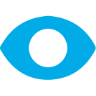 vision icon