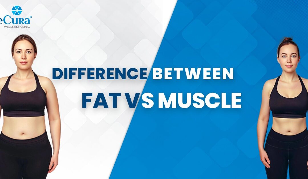 Difference Between Fat and Muscle Weight