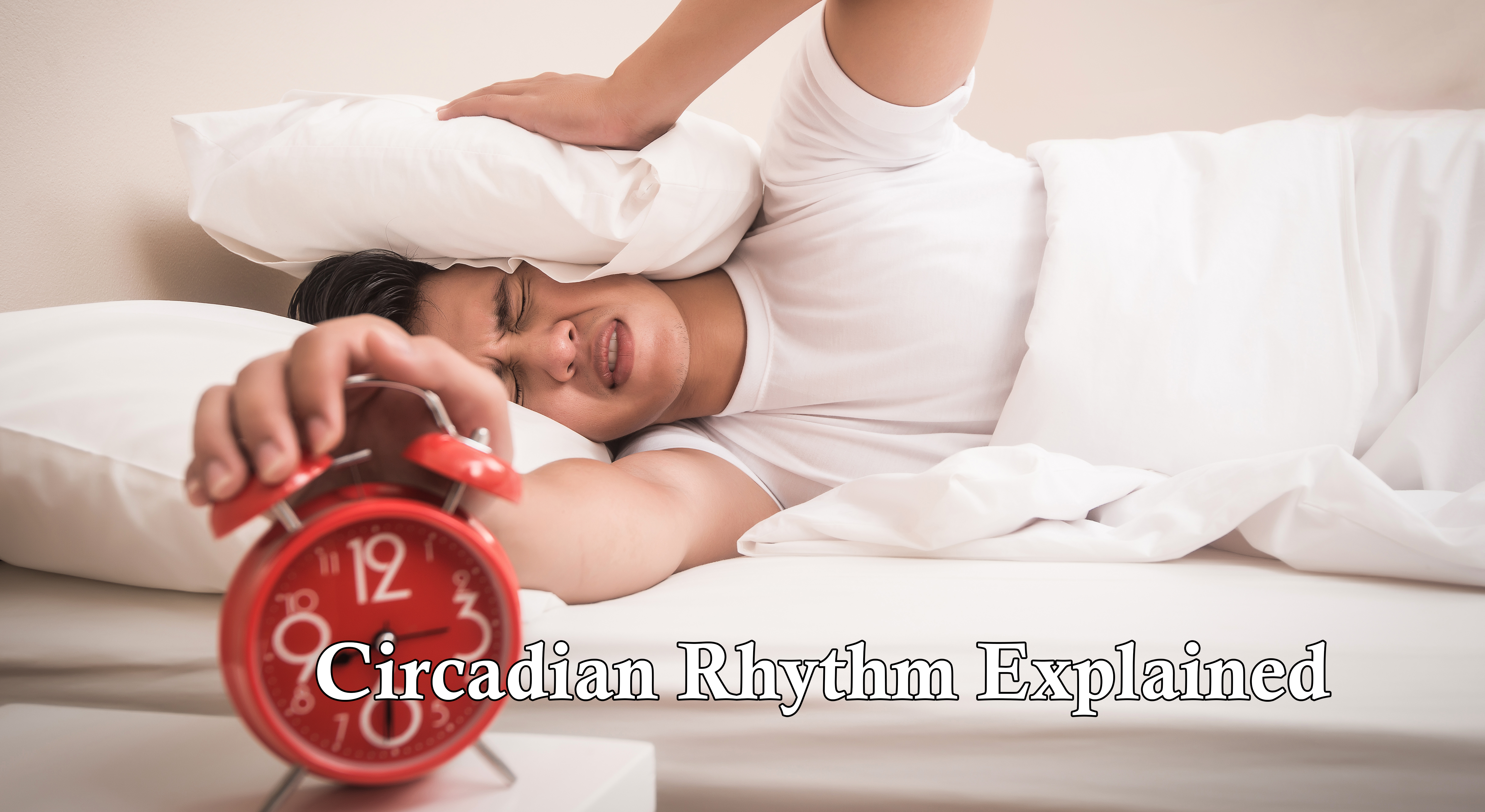 Circadian Rhythm Explained: Sleep, Food, and Daily Energy