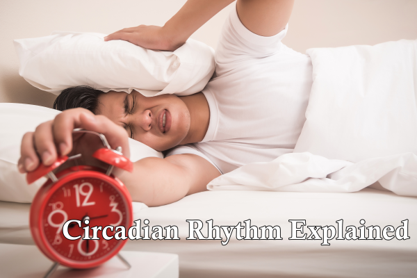 Circadian Rhythm Explained: Sleep, Food, and Daily Energy